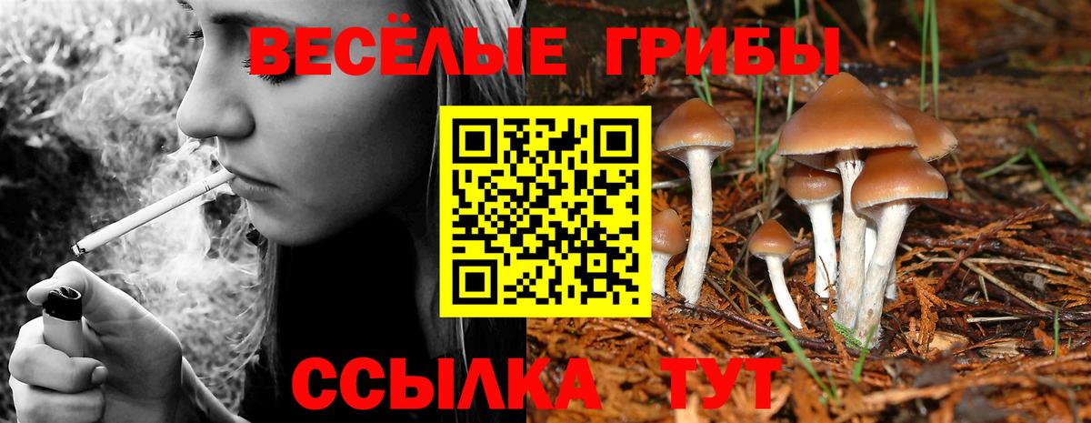 Галлюциногенные грибы мухоморы Фурманов