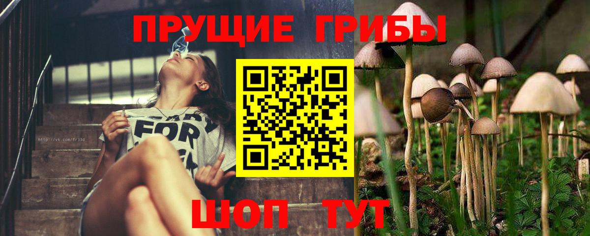 Галлюциногенные грибы Magic Shrooms  Вход с VPN  Фурманов 